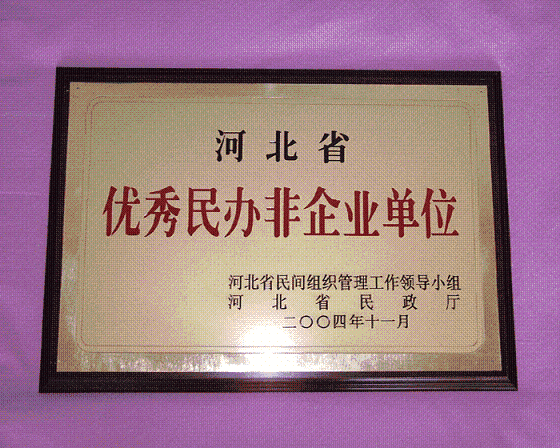 2004年我院荣获河北省优秀民办非企业单位