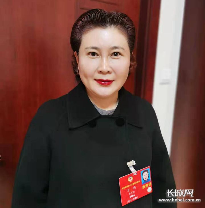 河北日报、长城网、河北工人网、腾讯网、新浪网等多家媒体报道河北省政协委员、河北外国语学院副董事长、执行校长习伟教授提案